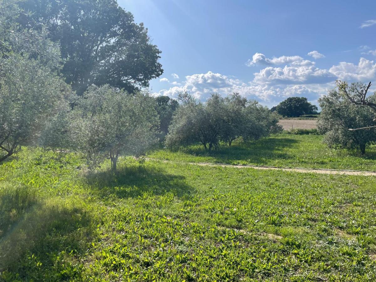Sous Les Etoiles En Provence, Gite Les Grands Chenes Lurs المظهر الخارجي الصورة