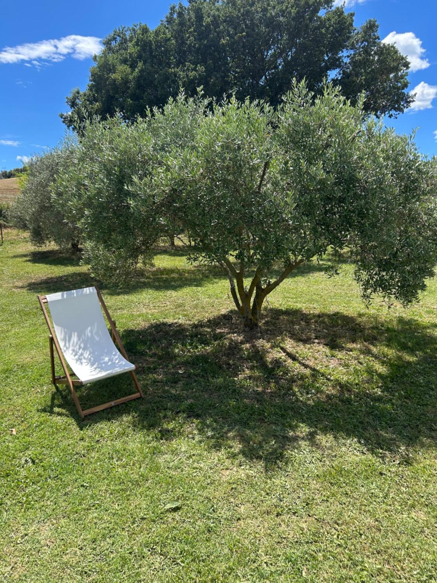 Sous Les Etoiles En Provence, Gite Les Grands Chenes Lurs المظهر الخارجي الصورة