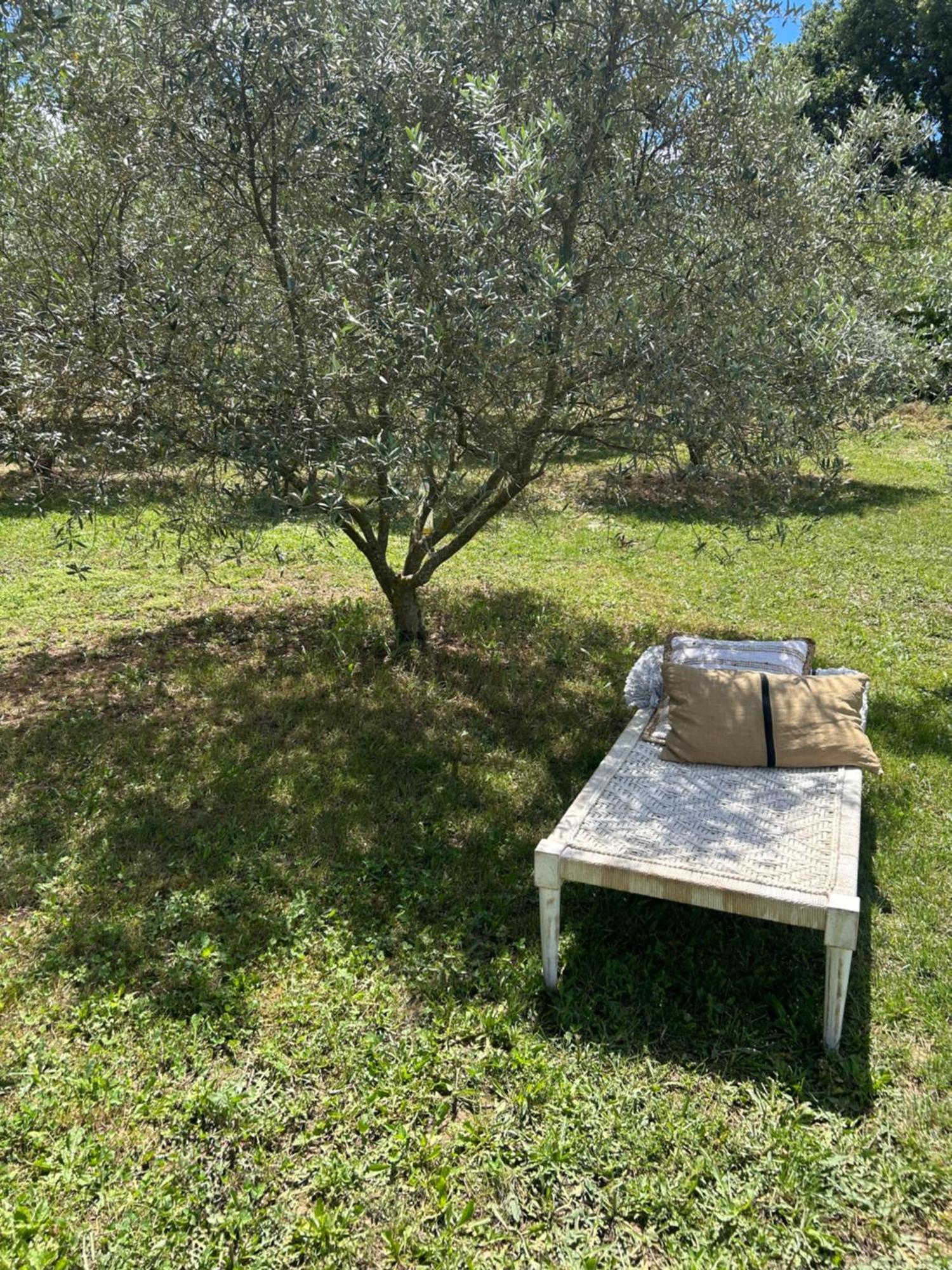 Sous Les Etoiles En Provence, Gite Les Grands Chenes Lurs المظهر الخارجي الصورة